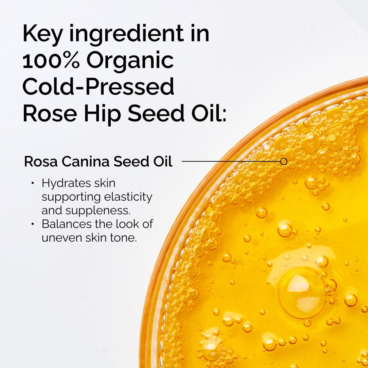 100-organic-cold-pressed-rose-hip-seed-oil-g0 FY25-D41247-ORD-Web-PDP-100-Rose-Hip-Oil-1x1-EN-2.jpg