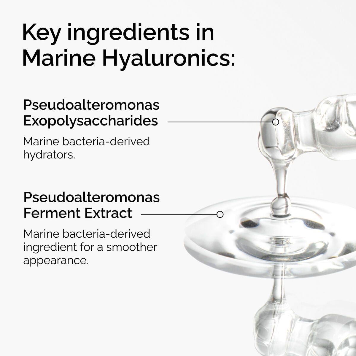 marine-hyaluronics-n2 FY25-D41247-ORD-Web-PDP-Marine-Hya-1x1-EN-2a.jpg
