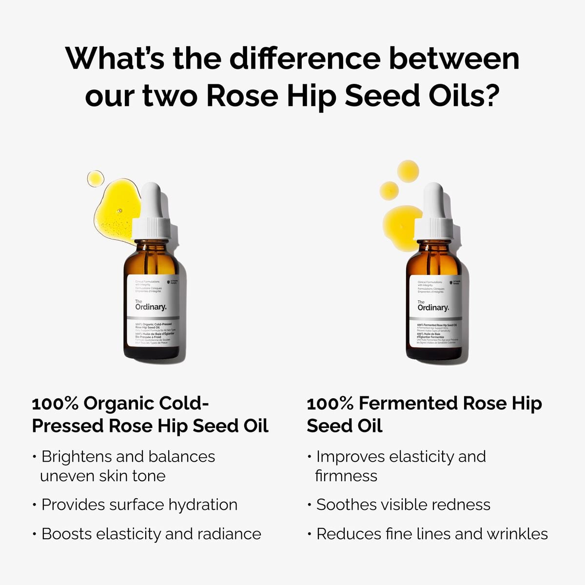 100-fermented-rose-hip-seed-oil-y2 fermented-rose-hip-vs-organic-rose-hip-graphic.jpg