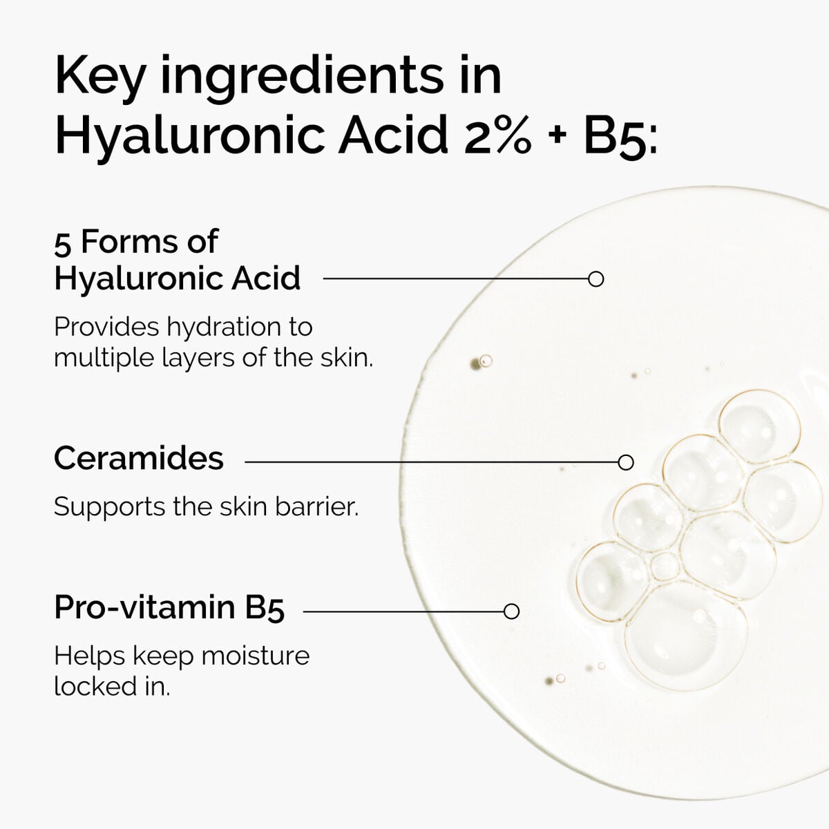hyaluronic-acid-2-b5-with-ceramides-v6 ord-hyaluronic-acid-2pct-b5-hydrating-serum-ingredients-graphic.jpg